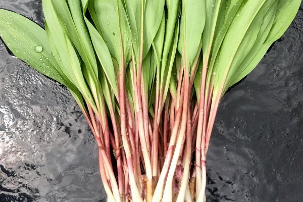 Kraken рабочее зеркало onion