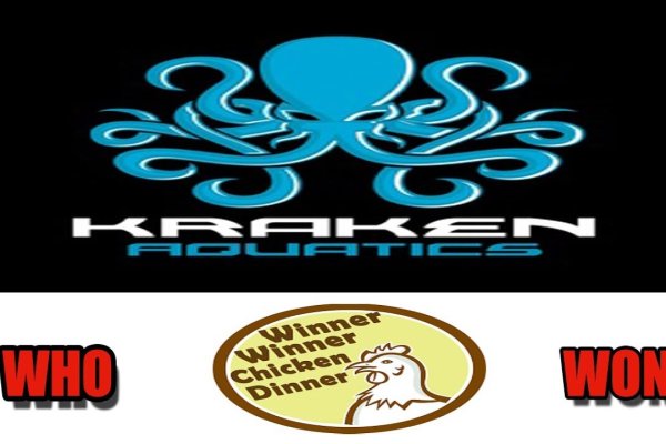 Kraken 24 at