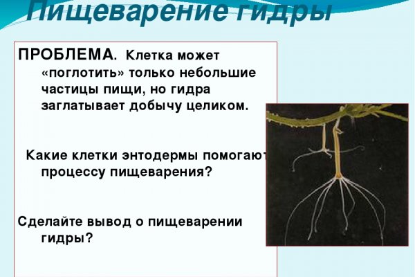 Kraken адрес onion