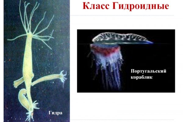 Кракен ссылка тупа германия