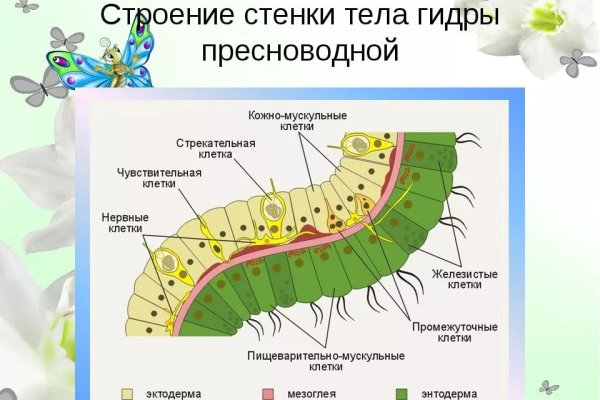 Kraken ссылка krakens13 at