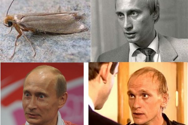 Как зайти на гидру через тор браузер