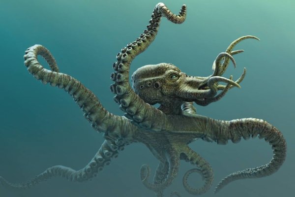 Kraken ссылка для тору