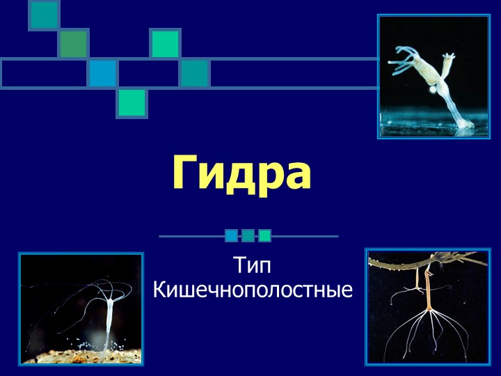 Кракен ссылка fo feng crmp ru