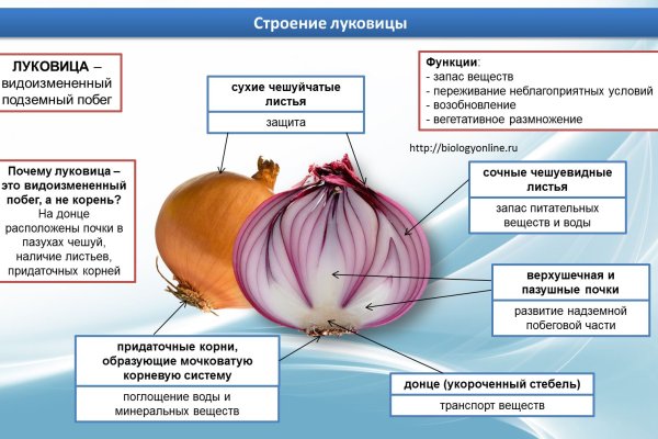 Что такое кракен сайт