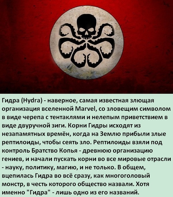 Kraken 13at