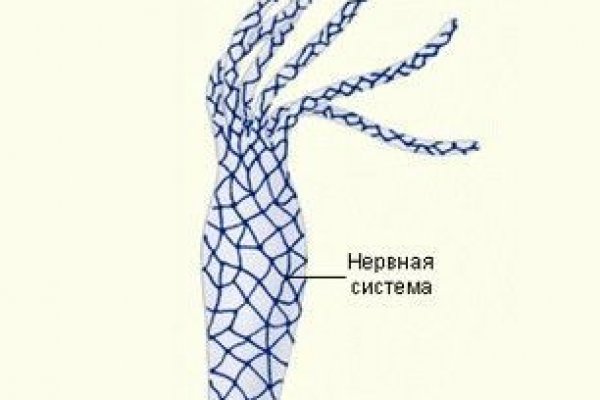 Ссылка на кракен реальная